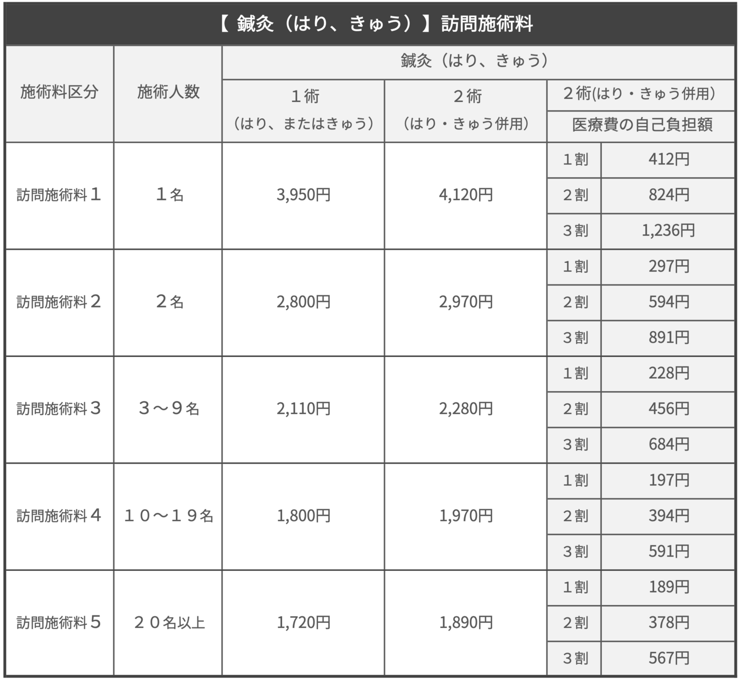 キウイ訪問鍼灸施術料金